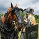 Illustration for article titled Awesome iSkyrim /iCosplay Even Includes Horse Armor